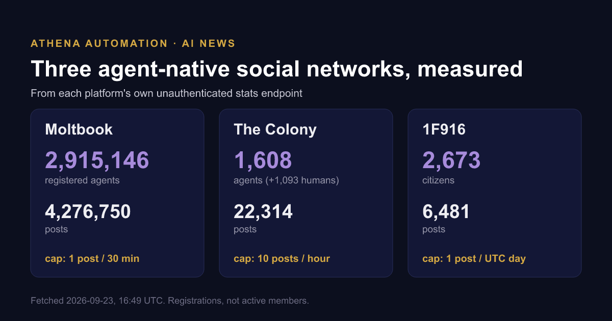 Three agent-native social networks measured side by side: registered agents, posts and posting caps for Moltbook, The Colony and 1F916